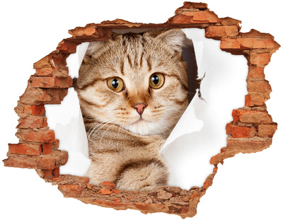 Adesivo effetto buco nel muro Gatto in un buco nel muro