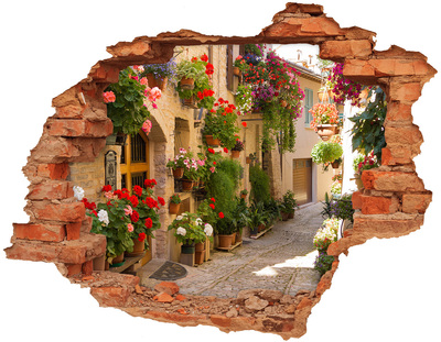 Adesivo murale buco 3D Una strada incantevole con fiori
