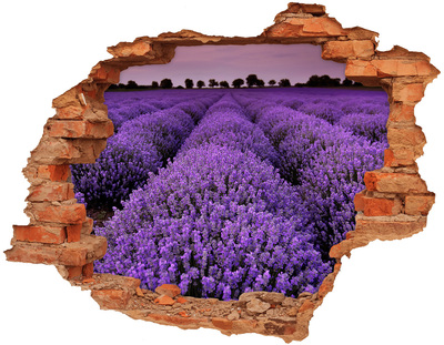 Adesivo con buco sbrecciato Un campo di lavanda in piena fioritura
