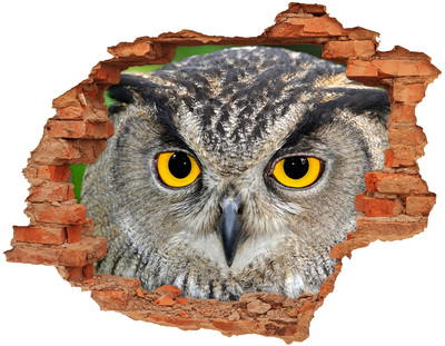 Adesivo effetto buco nel muro Gufo in cemento
