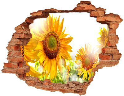 Adesivo effetto buco nel muro Un sogno floreale dietro il muro