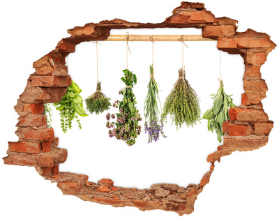 Adesivo murale buco 3D Angolo delle erbe aromatiche in cucina