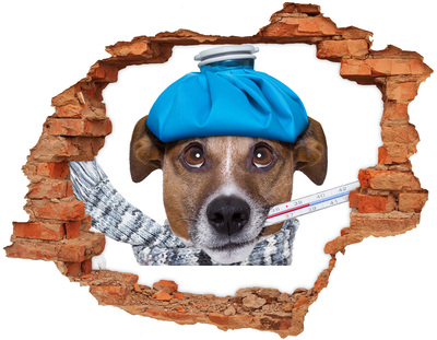 Adesivo effetto buco nel muro Cane malato con il cappello