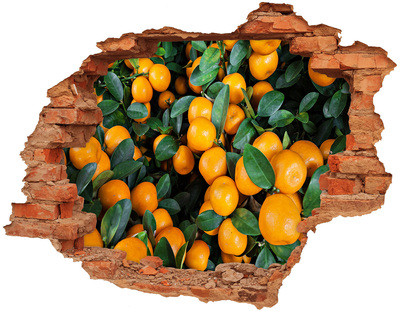 Adesivo con buco sbrecciato Frutta nell'aranceto