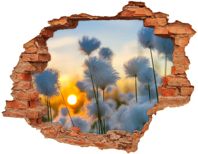 Adesivo murale buco 3D Fiori al tramonto