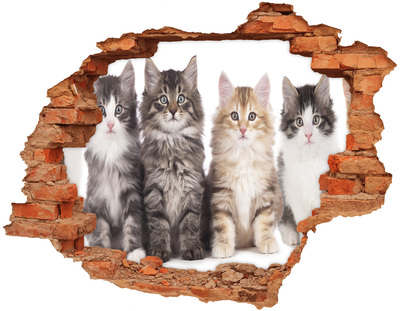 Adesivo con buco sbrecciato Gatti in un buco nel muro