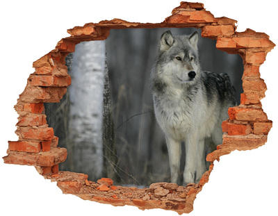 Adesivo con buco sbrecciato Lupo nel suo habitat naturale