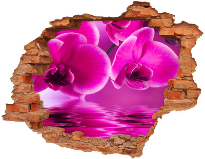 Adesivo con buco sbrecciato Un paradiso floreale nelle sfumature del rosa