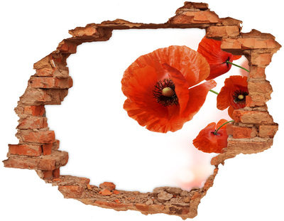 Adesivo con buco sbrecciato Fiori di papavero in un buco nel muro
