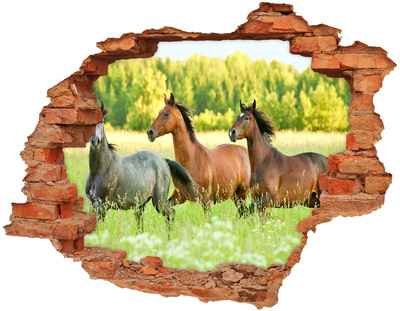 Adesivo con buco sbrecciato Cavalli al galoppo nella natura