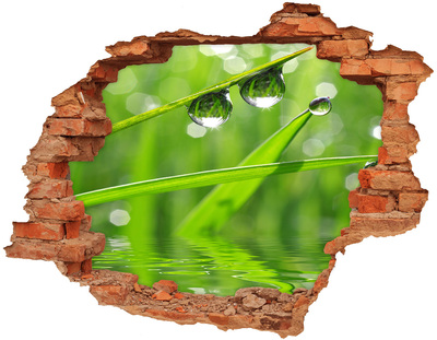 Adesivo murale buco 3D Oasi verde con gocce d'acqua