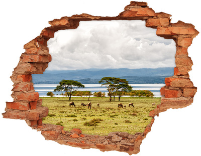Adesivo effetto buco nel muro Paesaggio africano con animali selvatici