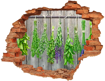 Adesivo con buco sbrecciato Giardino delle erbe aromatiche dietro il muro