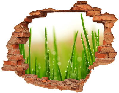 Adesivo effetto buco nel muro Prato verde con gocce d'acqua