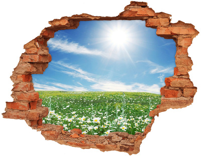 Adesivo effetto buco nel muro Un prato fiorito sotto un cielo azzurro