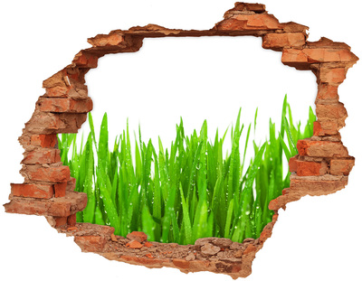 Adesivo con buco sbrecciato Un prato verde visibile attraverso un buco nel muro