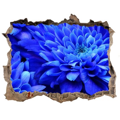 Sticker buco nel muro Fiore blu in un buco nel muro