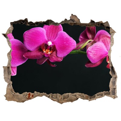 Finto buco nel muro 3D Orchidea attraverso il muro