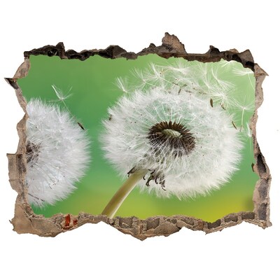 Finto buco nel muro 3D Denti di leone su sfondo verde