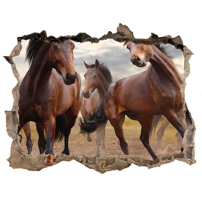 Sticker buco nel muro Una mandria di cavalli nel prato