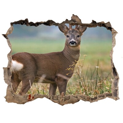 Sticker buco nel muro Capriolo nel suo habitat naturale