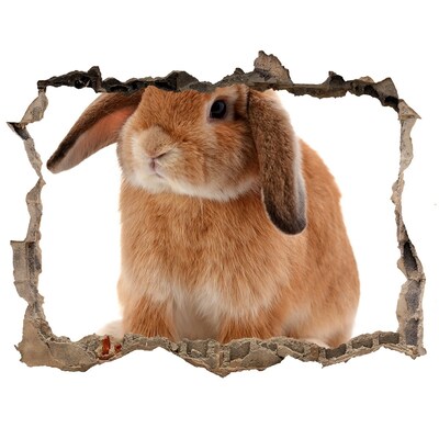 Adesivo buco nel muro Coniglio in un buco nel muro