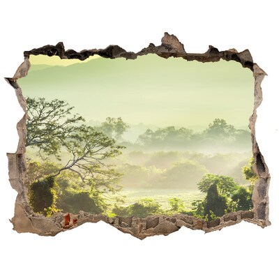 Finto buco nel muro 3D Valle verde nella nebbia