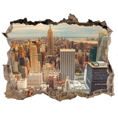 Adesivo buco nel muro Veduta di New York
