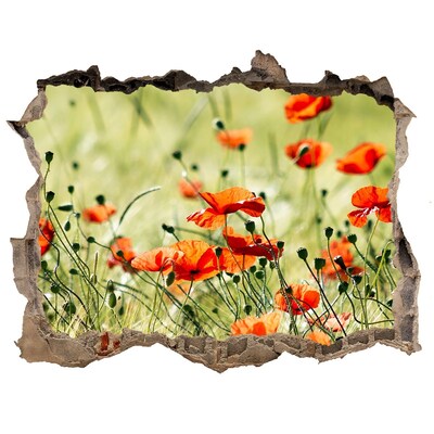 Sticker buco nel muro Un paradiso floreale tra i papaveri