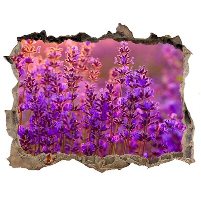 Adesivo buco nel muro Prato fiorito di lavanda
