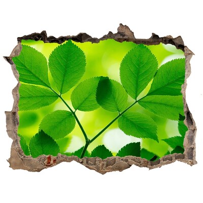 Sticker buco nel muro Un'oasi verde in cemento