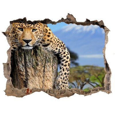 Adesivo buco nel muro Lo sguardo appiccicoso di un leopardo