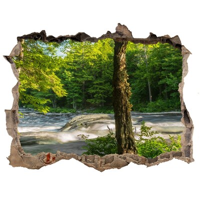 Finto buco nel muro 3D Verde foresta in riva al fiume