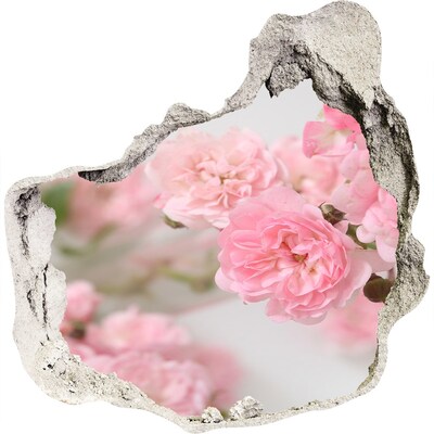 Trompe l'oeil buco nel muro Un paradiso di fiori dietro il muro