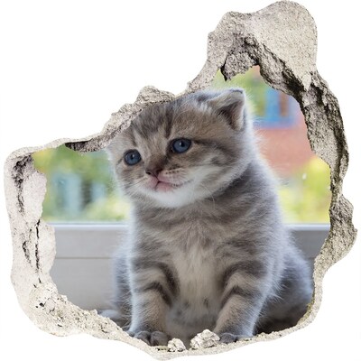 Finto buco nel muro 3D Gattino in un buco nel muro