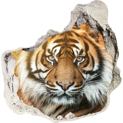 Trompe l'oeil buco nel muro La tigre nel buco nel muro