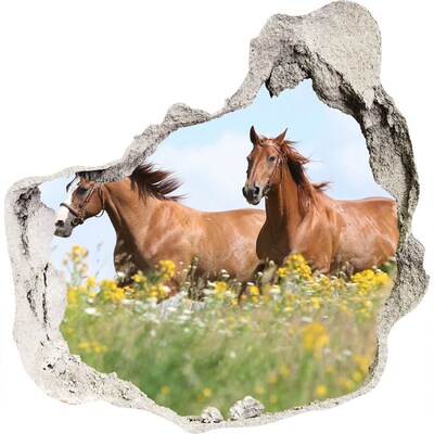 Finto buco nel muro 3D Cavalli nei prati