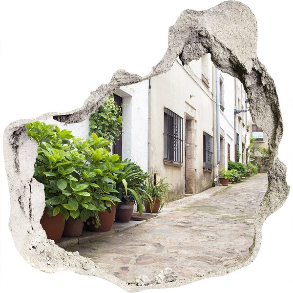 Trompe l'oeil buco nel muro Una strada affascinante con vegetazione
