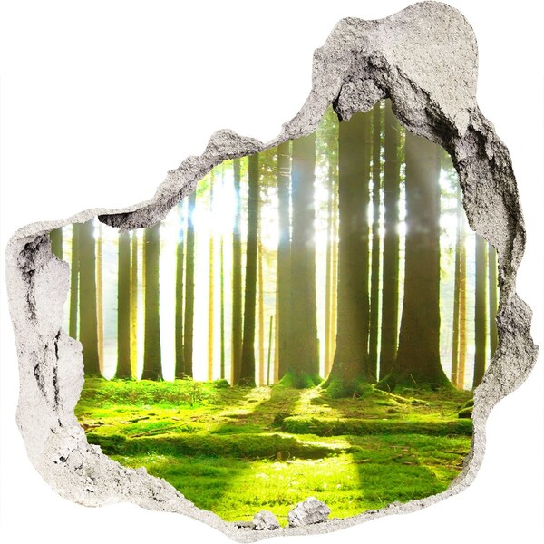 Finto buco nel muro 3D Foresta verde con raggi di sole