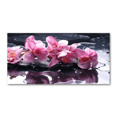 Quadro vetro acrilico Orchidea rosa