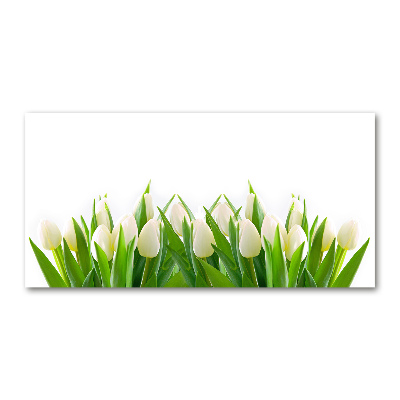 Quadro in vetro acrilico Tulipani bianchi