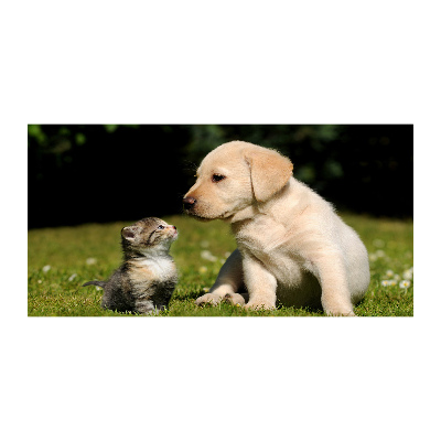 Quadro in vetro acrilico Cane e gatto nel prato