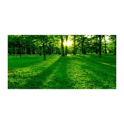 Quadro in vetro acrilico Erba nel parco