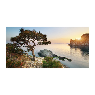 Quadro in vetro acrilico Un albero in riva al mare
