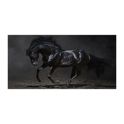 Quadro in vetro acrilico Cavallo oscuro