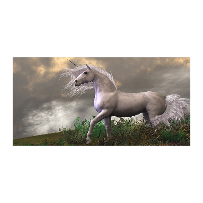 Quadro vetro acrilico Unicorno grigio