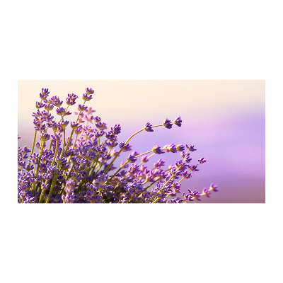 Quadro su vetro acrilico Lavanda