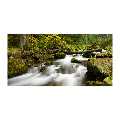 Quadro vetro acrilico Torrente Olczyski