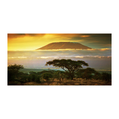 Quadro su vetro acrilico Kilimanjaro Kenya
