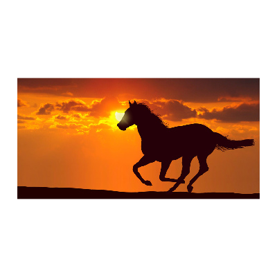 Quadro vetro acrilico Tramonto a cavallo